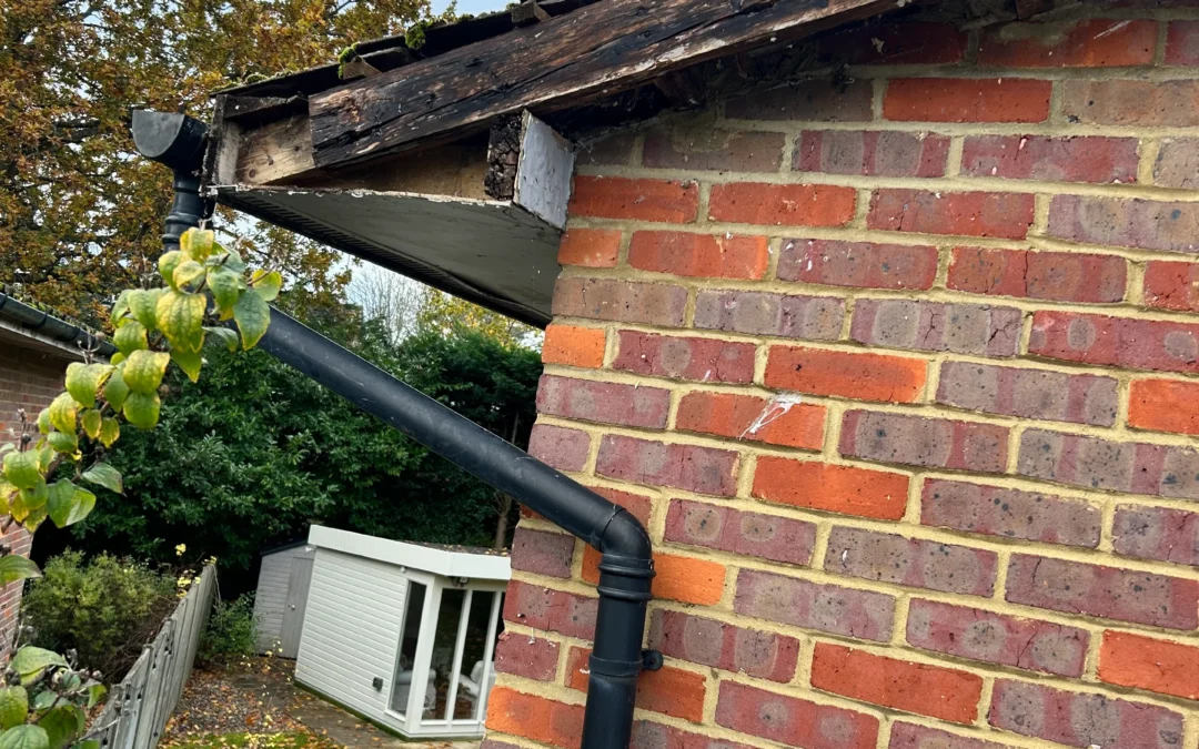 removing-old-rotten-gutter